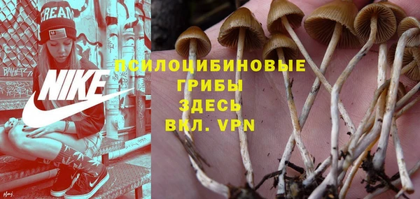 ALPHA-PVP Алексин