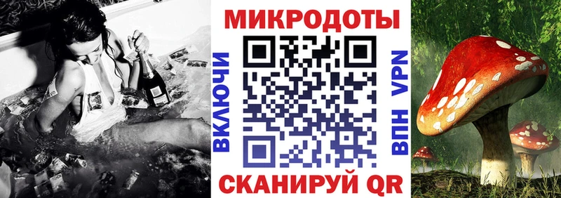 Псилоцибиновые грибы прущие грибы купить наркотик Болотное